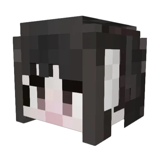 AquaO7 Minecraft avatar head, 3D render