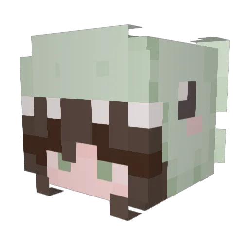 AquaPrincess2004 Minecraft avatar head, 3D render
