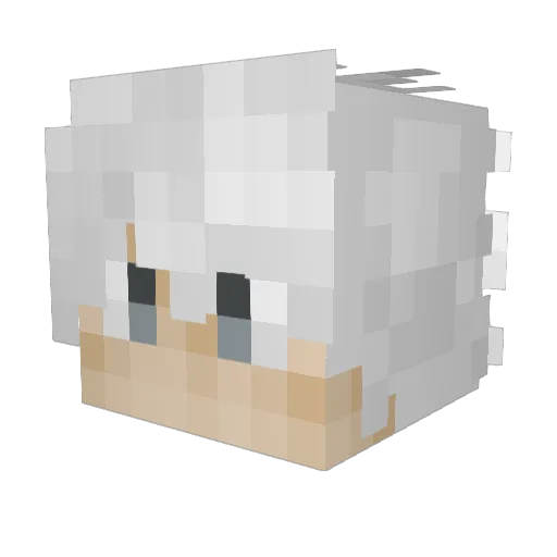 AquaPrix_ Minecraft avatar head, 3D render