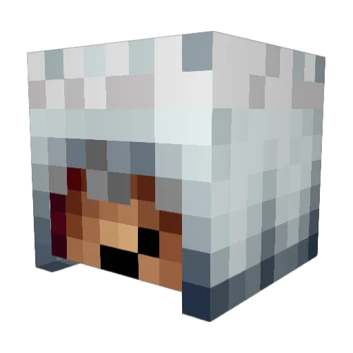 AquaR3g1a Minecraft avatar head, 3D render