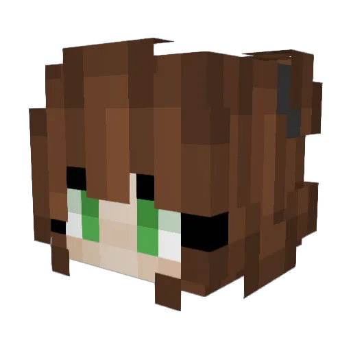 AquaRuby18 Minecraft avatar head, 3D render