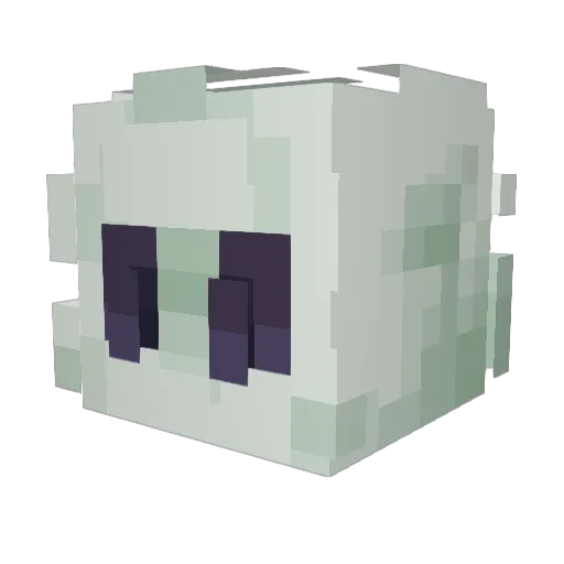 Aqua_Marine___ Minecraft avatar head, 3D render