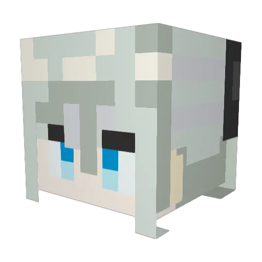 Aqua_NG Minecraft avatar head, 3D render