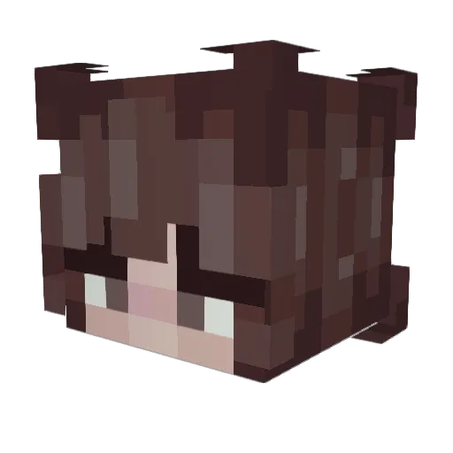 Aqua_Ratzefatze Minecraft avatar head, 3D render