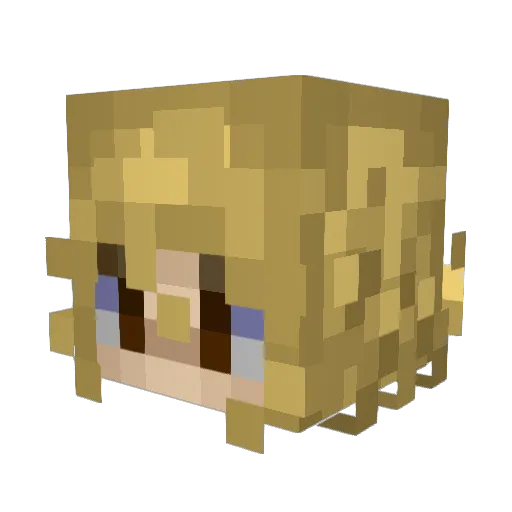 Aqua_Shine Minecraft avatar head, 3D render