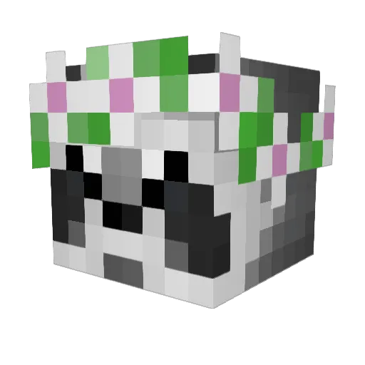 Aquaa0 Minecraft avatar head, 3D render