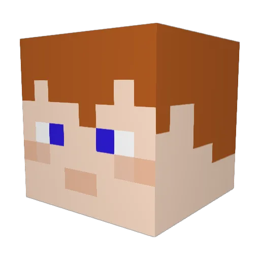 Aquabadger Minecraft avatar head, 3D render