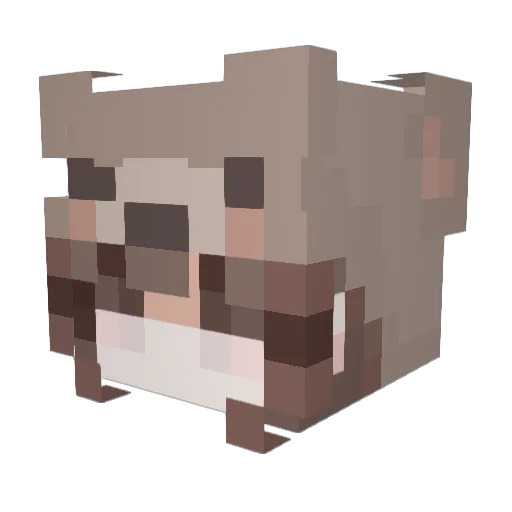 Aquachii Minecraft avatar head, 3D render