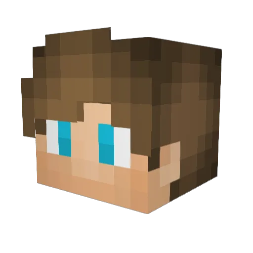 Aquack_ Minecraft avatar head, 3D render