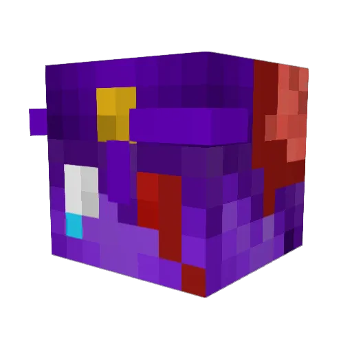AquadRaptor228 Minecraft avatar head, 3D render