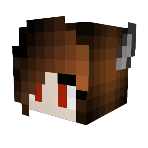 Aquafinity Minecraft avatar head, 3D render