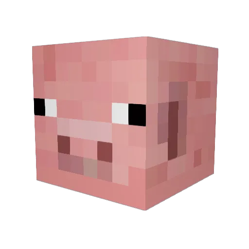 Aquaholic28 Minecraft avatar head, 3D render
