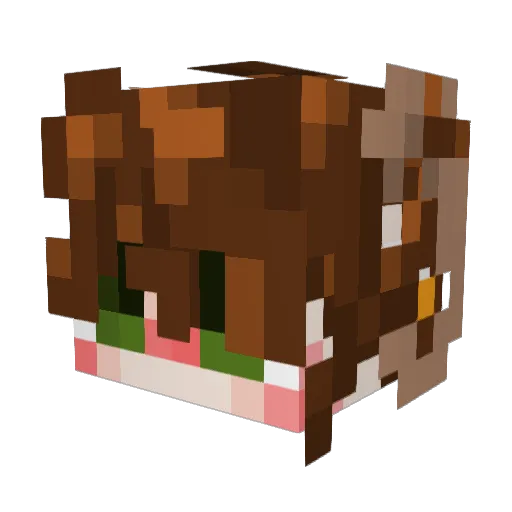 Aquaify_ Minecraft avatar head, 3D render