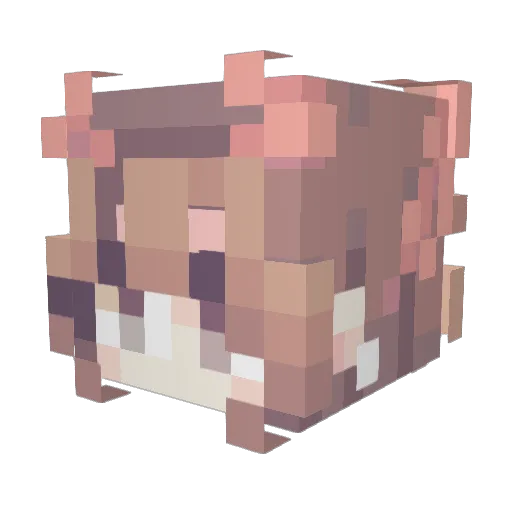 Aquaifyyx Minecraft avatar head, 3D render