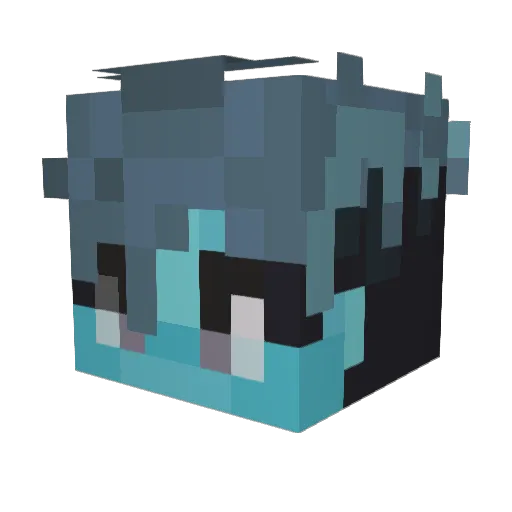 Aquain_yt Minecraft avatar head, 3D render