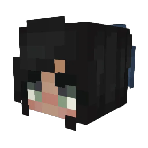 Aquairiss Minecraft avatar head, 3D render