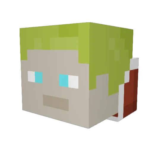 Aqualect Minecraft avatar head, 3D render