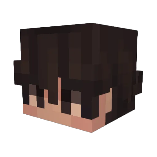 Aqualuar_ Minecraft avatar head, 3D render