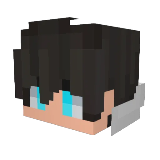 Aquanic_H2O Minecraft avatar head, 3D render