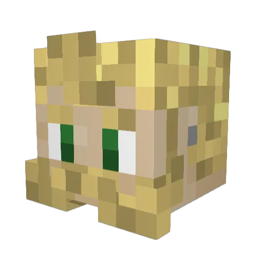 Aquarius313 Minecraft avatar head, 3D render