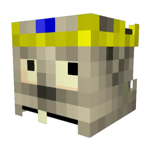 Aquariusprince Minecraft avatar head, 3D render
