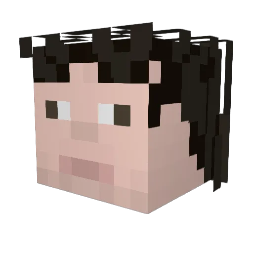 Aquatakat Minecraft avatar head, 3D render