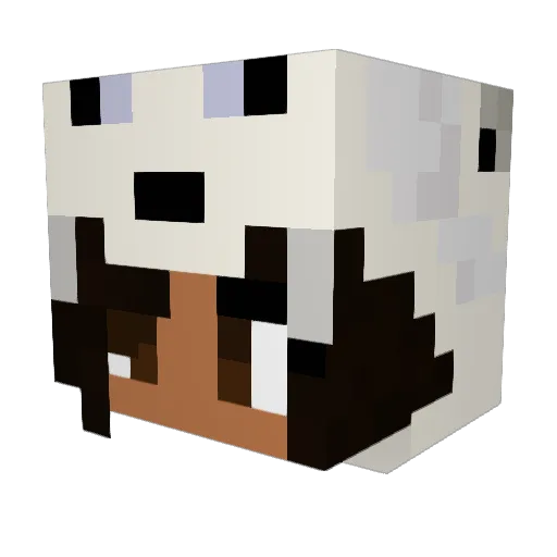 AquaticBender Minecraft avatar head, 3D render