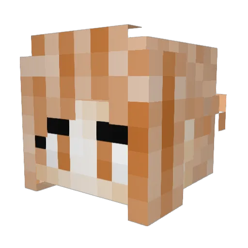 AquaticPenquin Minecraft avatar head, 3D render