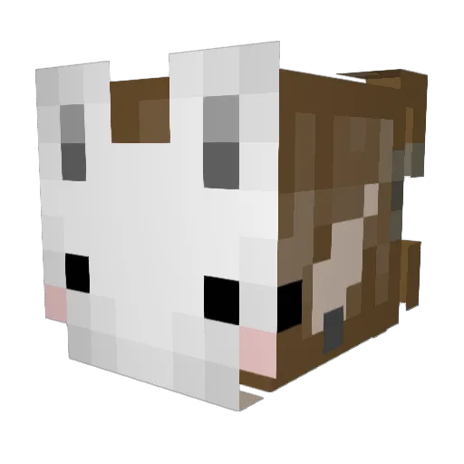 Aquentix Minecraft avatar head, 3D render