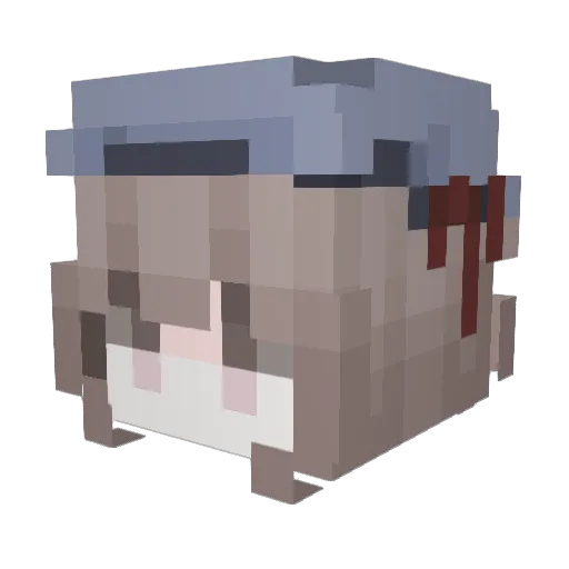 AqueousTexas945 Minecraft avatar head, 3D render