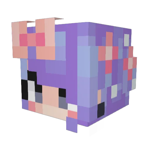 Aquetaint Minecraft avatar head, 3D render