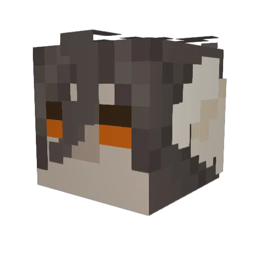 Aquickthwipquip Minecraft avatar head, 3D render
