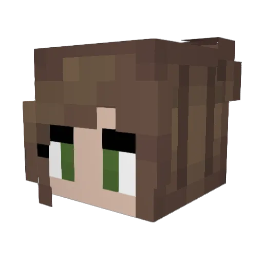 Aquilaaaaaa Minecraft avatar head, 3D render