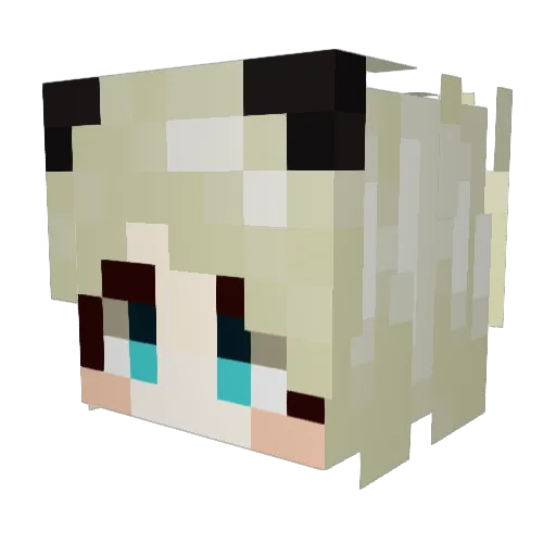 Aquilae7 Minecraft avatar head, 3D render