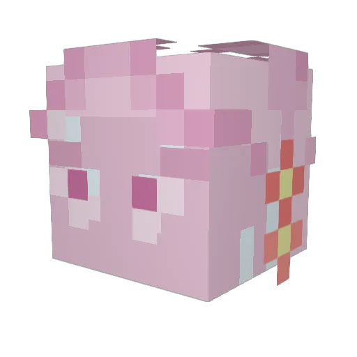 Aquilason Minecraft avatar head, 3D render