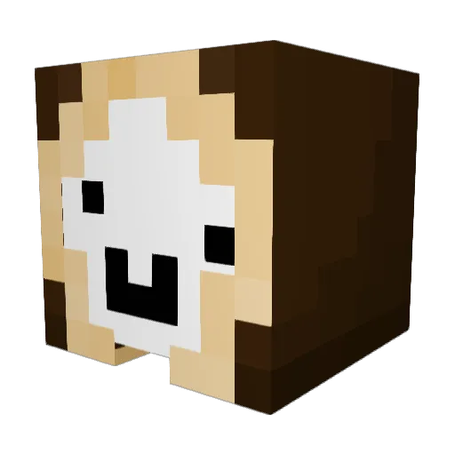 AquireMCfan123 Minecraft avatar head, 3D render