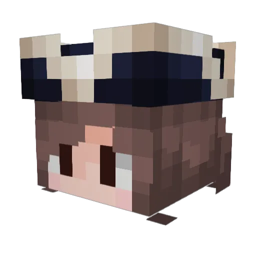Aquitech Minecraft avatar head, 3D render