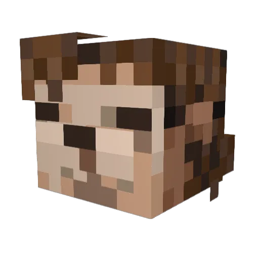 Aqulex Minecraft avatar head, 3D render