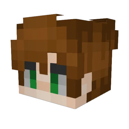Aquqticsss Minecraft avatar head, 3D render