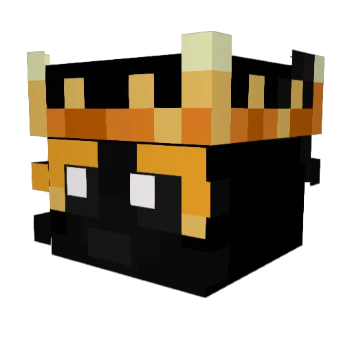 Aquven Minecraft avatar head, 3D render