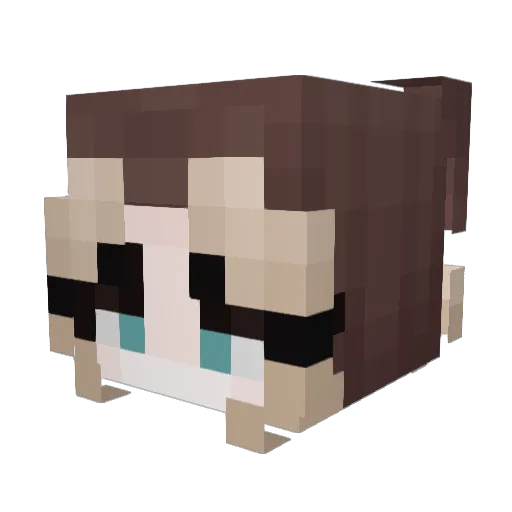Aqvva Minecraft avatar head, 3D render