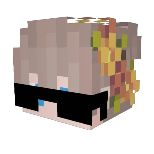 Aqyy Minecraft avatar head, 3D render
