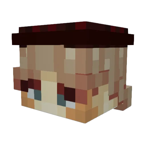 ArGoN__N Minecraft avatar head, 3D render
