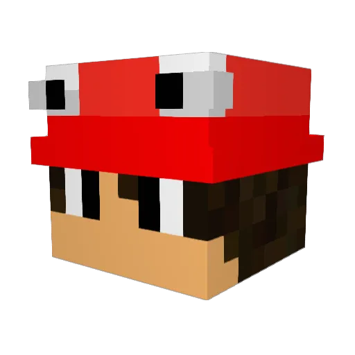 ArKa_Zz Minecraft avatar head, 3D render