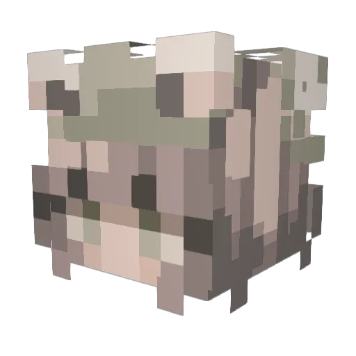 ArKadiae Minecraft avatar head, 3D render