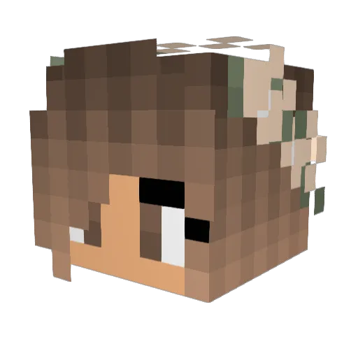 ArPhil Minecraft avatar head, 3D render