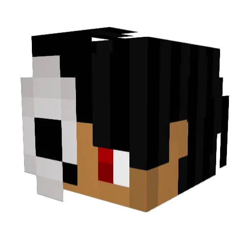 ArTicTrash Minecraft avatar head, 3D render