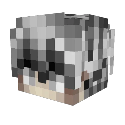 ArXl0 Minecraft avatar head, 3D render
