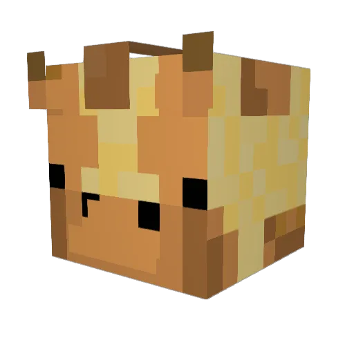 Ara0707 Minecraft avatar head, 3D render