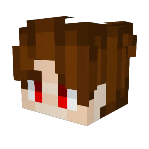 Ara071 Minecraft avatar head, 3D render